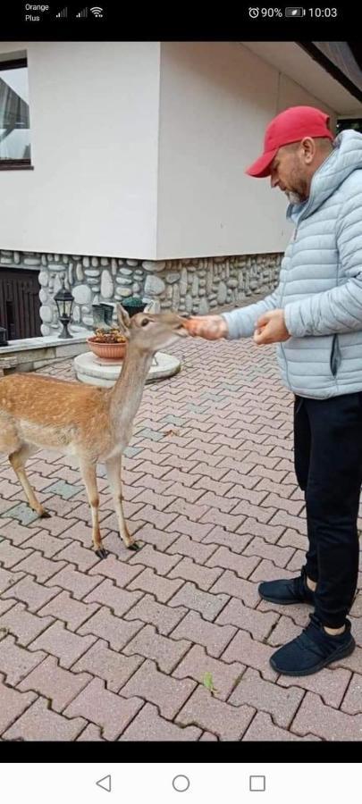 Agroturystyka Pod Lasem Poronin Dış mekan fotoğraf