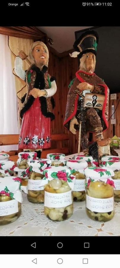 Agroturystyka Pod Lasem Poronin Dış mekan fotoğraf