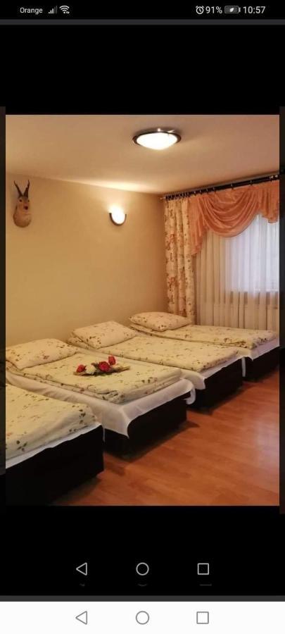 Agroturystyka Pod Lasem Poronin Dış mekan fotoğraf