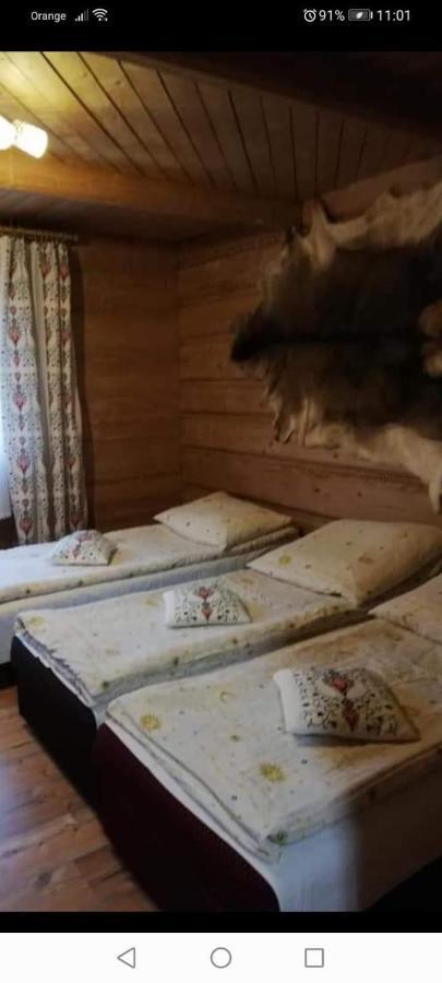 Agroturystyka Pod Lasem Poronin Dış mekan fotoğraf